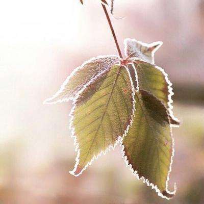 齐齐哈尔房产网